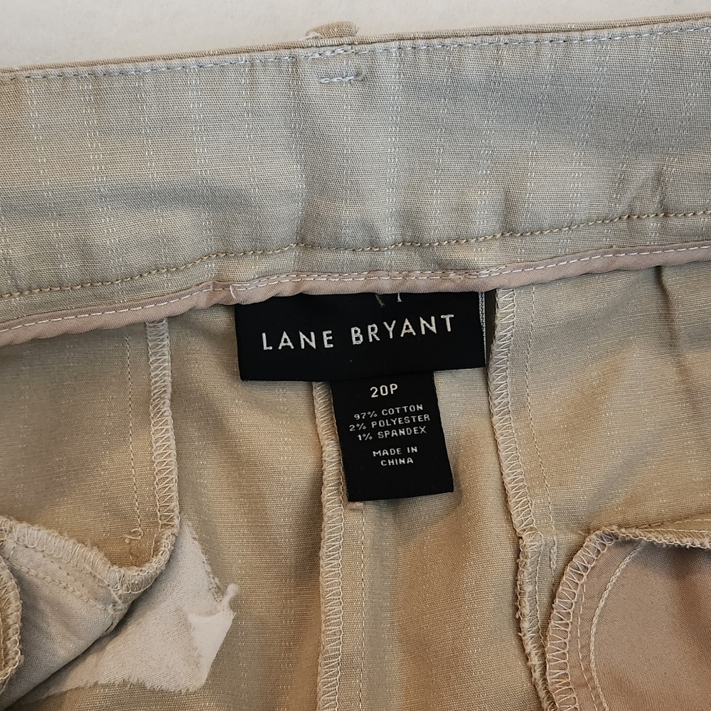 Lane Bryant Beige Pinstripe Trousers - Picture 7 of 12